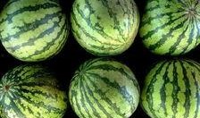 沂水吃瓜,探寻乡村美食的魅力之旅