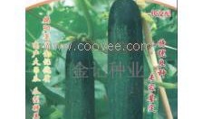 吊秧瓜怎么吃,解锁美味新体验