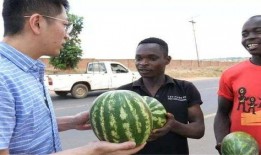 黑了su吃瓜网,揭秘娱乐圈幕后真相，带你走进明星生活