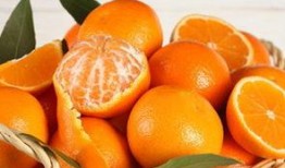 梦见自己吃橘子和白瓜,橘香瓜甜，探寻梦境中的味蕾之旅