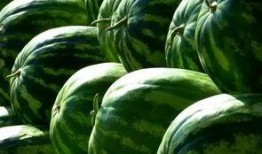 小夏吃瓜,揭秘娱乐圈那些不为人知的幕后故事