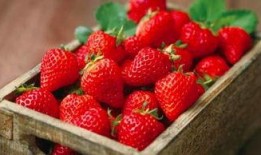 吃颗草莓瓜,甜蜜诱惑，舌尖上的夏日风情