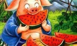 环保督察吃瓜群众,见证绿色变革的围观视角