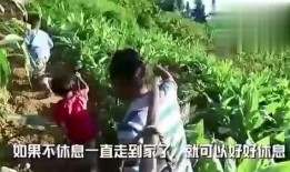 中信吃瓜事件视频,揭秘网络热议背后的真相与争议