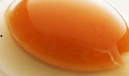 怀孕吃酥瓜好吗,酥瓜对孕妇的影响与适宜食用建议