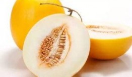 吃鸡肉能吃伊丽莎白瓜吗