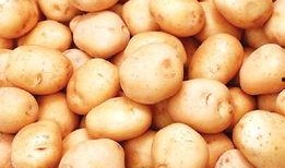 吃瓜吃土豆,土豆背后的故事与美味