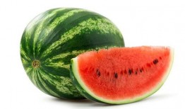 等瓜吃楼 天涯,天涯奇谈中的奇幻世界