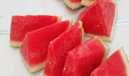 吃瓜大赛还是吃瓜比赛