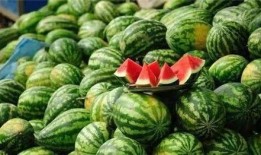 吃不到瓜的吃瓜,揭秘网络热词背后的真相