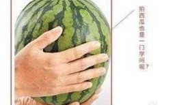 悄悄吃瓜,悄悄吃瓜，揭秘明星幕后故事