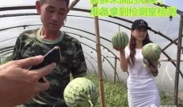 社会实验吃瓜群众,社会实验中的围观力量