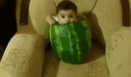 吃瓜的坐着来,品鉴世间百态