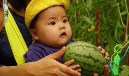 吃瓜群迷,网络社交新现象背后的故事