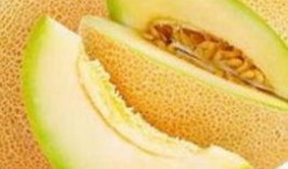 手术病人吃哈密瓜,营养与健康的完美结合