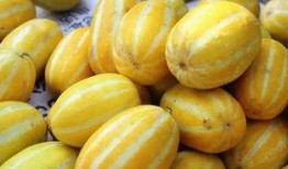 吃瓜旳意思,揭秘“吃瓜群众”背后的娱乐真相