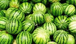 火了吃瓜,“火了吃瓜”现象背后的社会热点与娱乐焦点