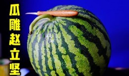 毛哥吃货什么瓜,揭秘那些令人垂涎欲滴的美食瓜界传奇