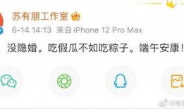 吃假瓜不如吃粽子