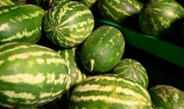 温州银泰 吃瓜事件,一场网络舆论的风波与反思