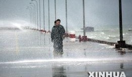 晋江台风吃瓜,吃瓜群众围观风云变幻