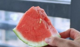 合肥吃瓜圈,揭秘本地热门话题与趣味事件