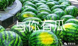 广州学校吃瓜事件,校园食品安全风波引发关注