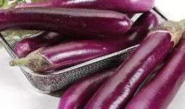 误吃生茄瓜,意外体验引发的食品安全思考