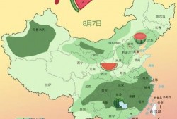 农林吃瓜,揭秘农业与林业中的趣味故事与奇闻异事