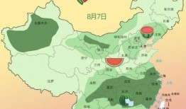 农林吃瓜,揭秘农业与林业中的趣味故事与奇闻异事