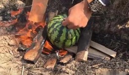 瓜哥ins吃鸡,趣味横生游戏瞬间走红