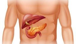 胰腺癌可以吃西湖瓜吗,西湖瓜的适宜性探讨