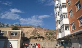 吃瓜禹城卖房子,吃瓜群众见证楼市新动向