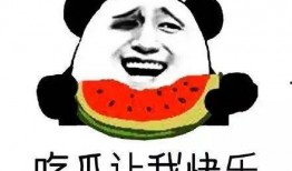 吃瓜群众流调,揭开疫情背后的真实故事