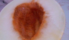 吃鸡肉能吃伊丽莎白瓜吗