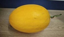 桂林最新吃瓜事件,揭秘背后真相与网络热议