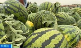 圣华女子学院吃瓜吃瓜,揭秘校园里的“吃瓜”风云