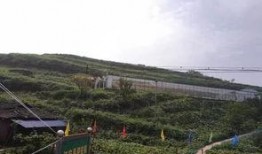 浚县北关吃瓜事件,一场引发热议的街头冲突