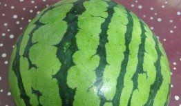 西瓜从小瓜到大瓜多久可以吃,从幼瓜到成熟，品尝最佳时机揭秘