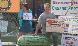 吃瓜群众外部人员,外部视角下的围观者众生相