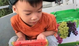 小萌子的吃瓜,娱乐圈幕后那些事儿