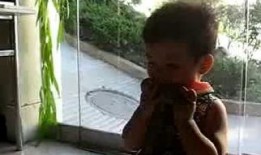 毛毛哥吃瓜,揭秘娱乐圈那些不为人知的幕后故事