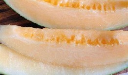 吃黄瓜吃出哈密瓜,意外惊喜的味蕾之旅