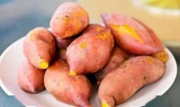 梦见吃瓜江红薯,瓜果飘香，红薯香浓的奇幻之旅