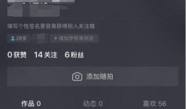 吃瓜抖音审核,揭秘热门视频背后的审核真相