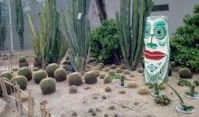 南通滨江公园吃瓜,尽享悠闲时光