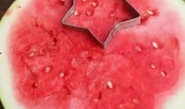 什么动物吃瓜不吐籽,揭秘哪些动物能吃瓜不吐籽