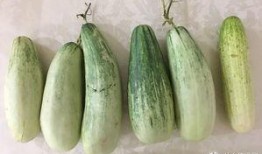 自己瓜自己吃,践行“自己瓜自己吃”的生活哲学