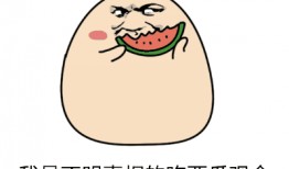 动图吃瓜,趣味横生的瞬间捕捉