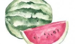 文化吃瓜者,揭秘娱乐圈幕后故事